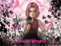 sakura haruto